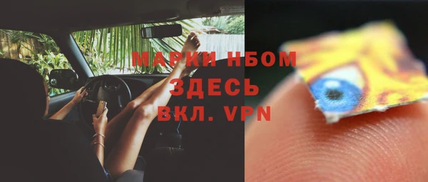 СК Новый Уренгой