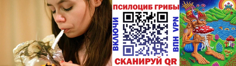 Псилоцибиновые грибы Cubensis  Заринск 