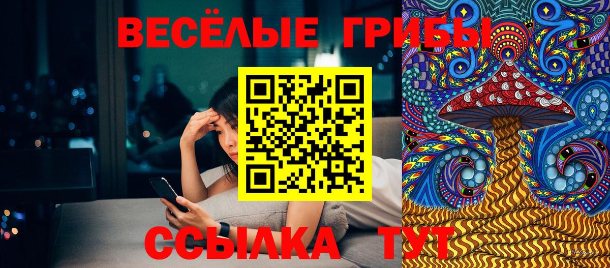 Заринск  Галлюциногенные грибы MAGIC MUSHROOMS  Вход с VPN  Галлюциногенные грибы MAGIC MUSHROOMS 